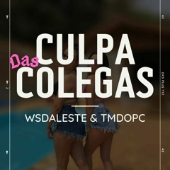 CULPA DAS COLEGAS - WSDALESTE & TMDOPC (part. GFPROD)