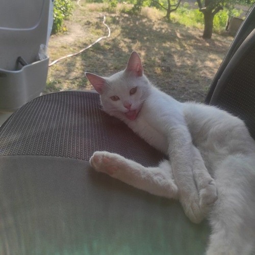 Песня про парнишку- Мармок