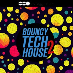 Audentity Records - Bouncy Tech House 2