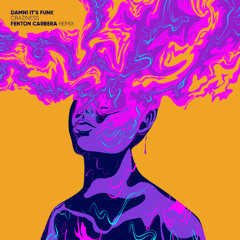 PREMIERE: DAMN! IT'S FUNK - Craziness (Fenton Carbera Remix) [Lisztomania]