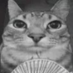 ‎