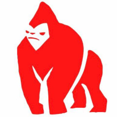 Vybes Ft HollyWood x Mf Ron