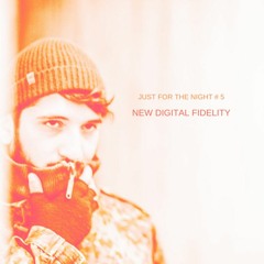 Just For The Night #5 - New Digital Fidelity