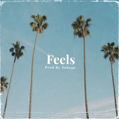Feels (Prod by Tebxgo)