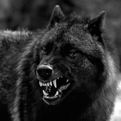 Self Sabatoge prod. mayhewdayungbuck