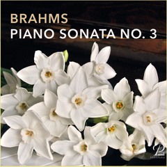 Johanns Brahms: Piano Sonata No. 3 - Finale (exc.)