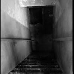 After party in the basement