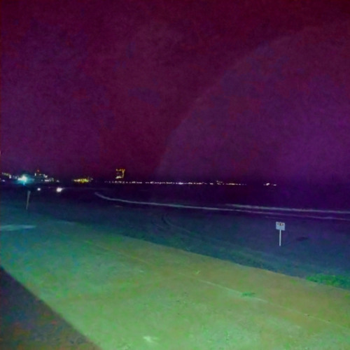 紫の雨-Purple Rain