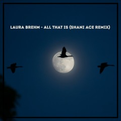Laura Brehm - All That Is (Shani Ace Remix)