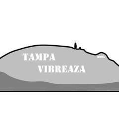 Tampa Vibreaza #003