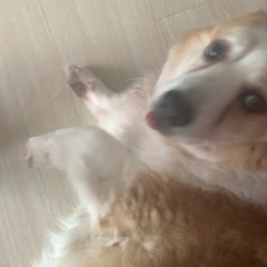 MADawG, Tha Sgt. & AE6 - DawG