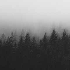 Arvo Pärt - Spiegel Im Spiegel (double bass version)