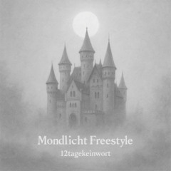 Mondlicht Freestyle (prod. 12tagekeinwort)