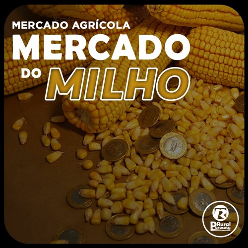 Milho norte-americano tem plantio adiantado; No Brasil, números de maio são baixos.