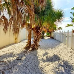Best Siesta Key Point Of Rocks Snorkeling Prices Reviews
