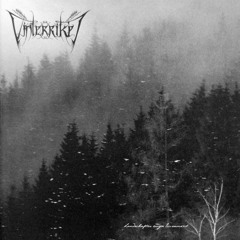 Landschaften Ewiger Einsamkeit II