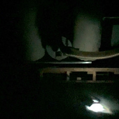 Ninety Eight Paint the Third 2024v