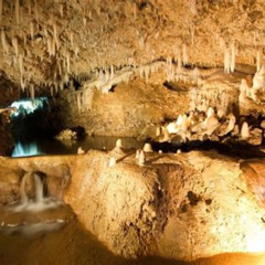 Review Special Price Beautiful Barbados Transport Included Harrisons Cave Tour