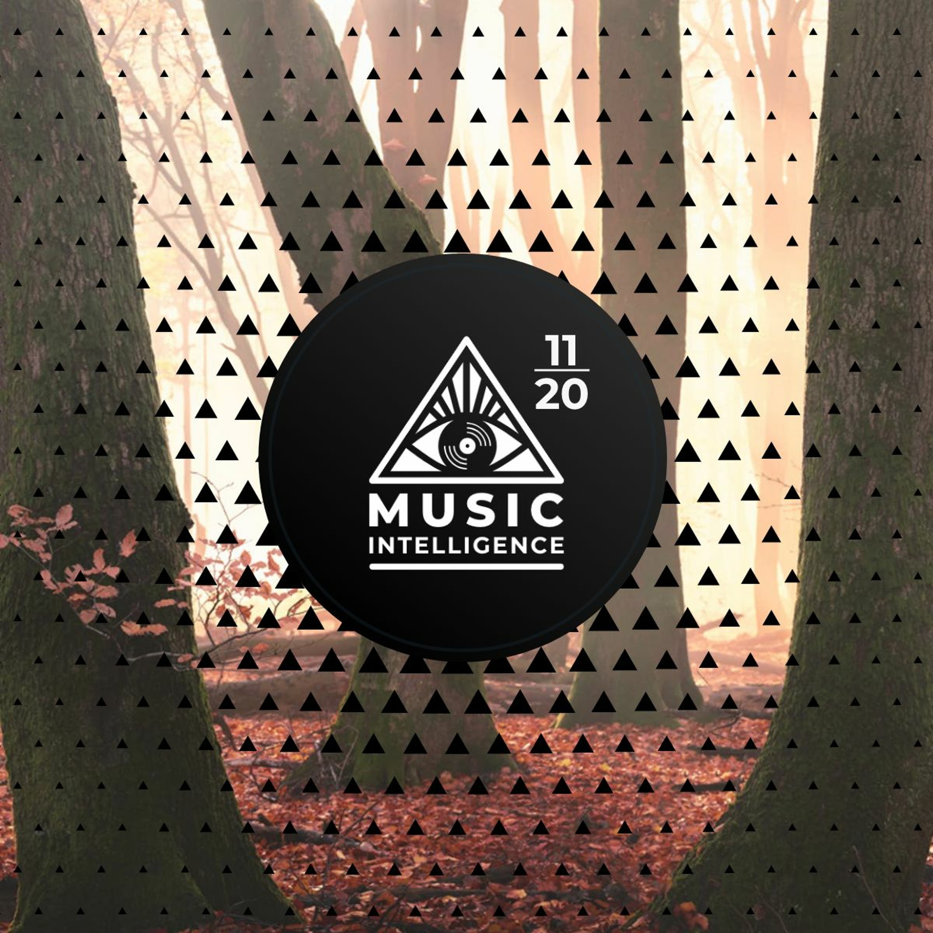 Music Intelligence Podcast