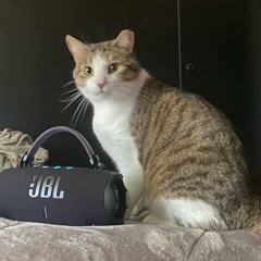 Blicka gonna love these