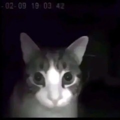 MONTAGEM LECTROSPICAL METEORICA - DJ VICTOR ORIGINAL (SUPER SLOWED)