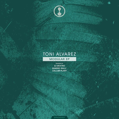 Toni Alvarez Modular(Sandro Galli Remix)