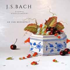 Bach Dubbel Vioolc. Allegro (arranger/performer Ad van nederpelt)