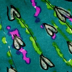 El brillo de tus cuerdas - Estervina