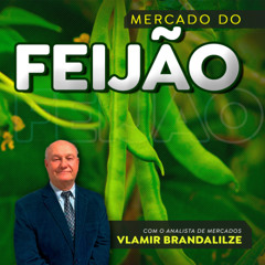 Mercado do feijão deve viver seu melhor momento a partir do fim de julho.