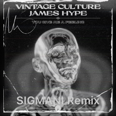 Vintage Culture, James Hype - You Give Me A Feeling (SIGMANI Remix)