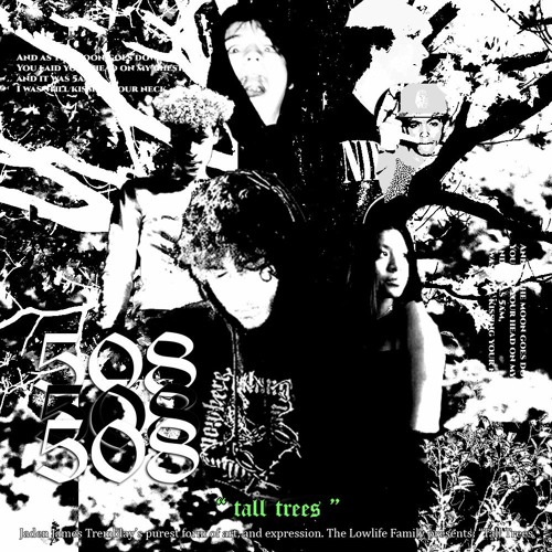 Stream tall trees by dead broke Listen online for free on SoundCloud