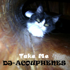 DJ-Acouphènes - Take Me