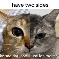 nói ít làm nhiều 🗣️🤫