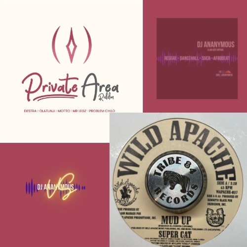 Private Area Riddim (2023) X Mud Up (SuperCat) 1998 X Dj Ananymous