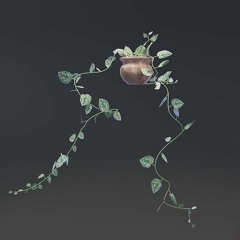 Eucalyptus