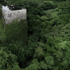 i know i'll always remember us