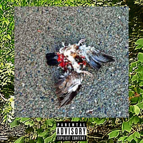 Paranoid (Why Am I Alive?)