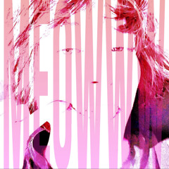 MEOWWW /p. rollie
