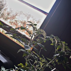 GHOST WITH THE MOST!