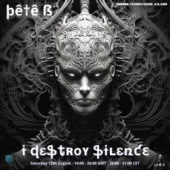 Pete B - I Destroy Silence August 2023