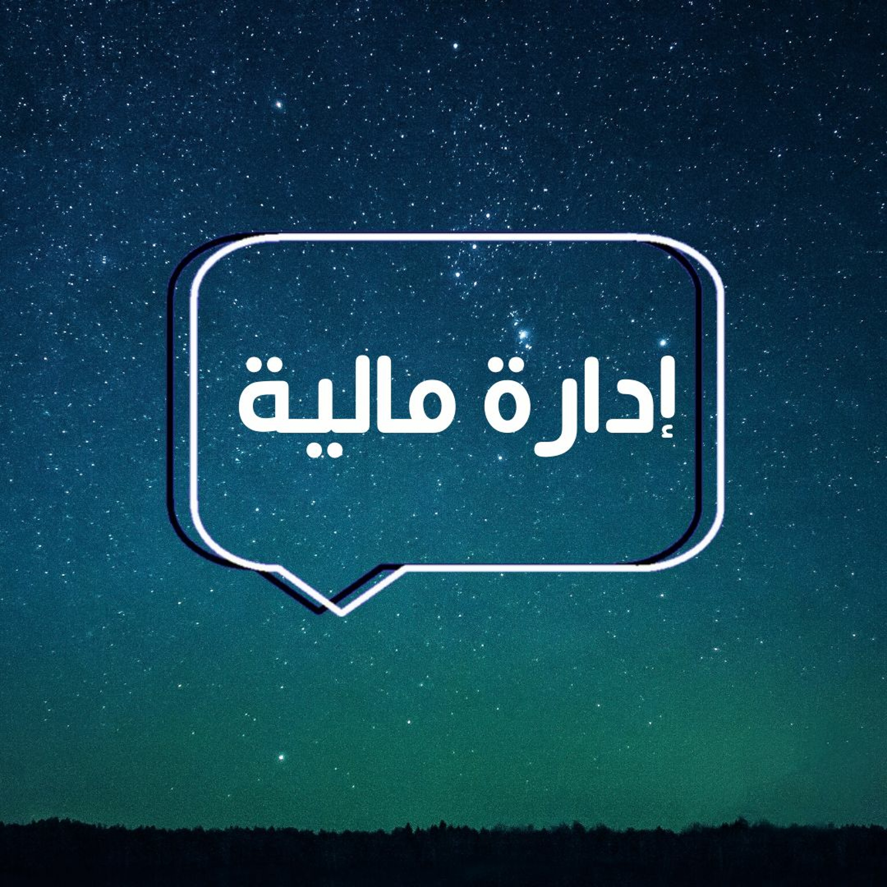 حلقة الاسئلة "ادارة مالية"
