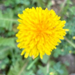 Cause You Love - Beauty In Gb by Junius Paul aka DJ Spockey Chainsey