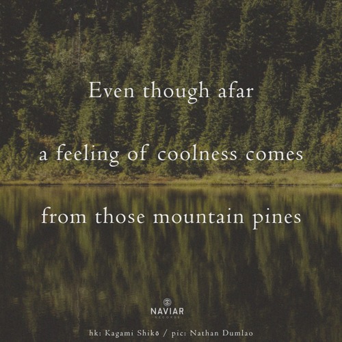 haiku #575: Even though afar / a feeling of coolness / comes from those mountain pines