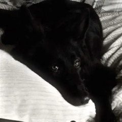 hold my f**king heart in your hands