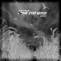 Gone For Good (Feat. Lil Panic)