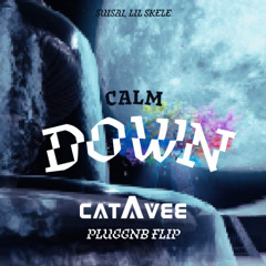 Suisai, Lil Skele - Calm Down (catavee pluggnb flip)