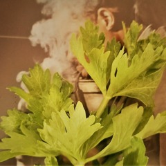celery