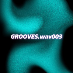 Dariüsz - Grooves.wav003