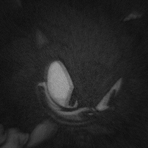 [INST] Faker (RJ Remix) (Vs Sonic.exe Mod)