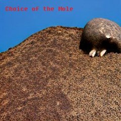 Choice Of The Mole